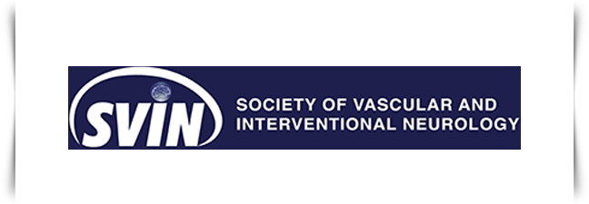 Member, Society of Vascular and Interventional Neurology